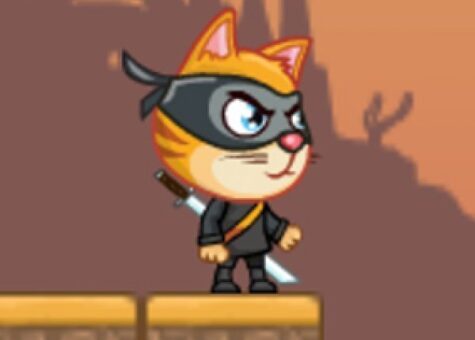 Cat Ninja