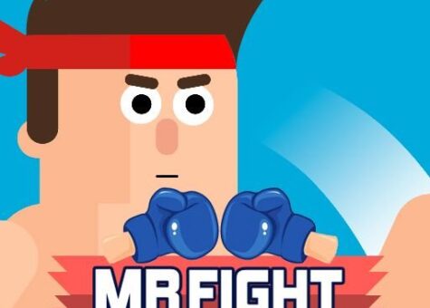 Mr Fight Online