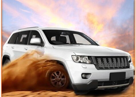 Luxury Suv Offroad Prado Drive Game